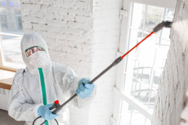 Best Residential Mold Inspection & Testing  in Harlem, FL