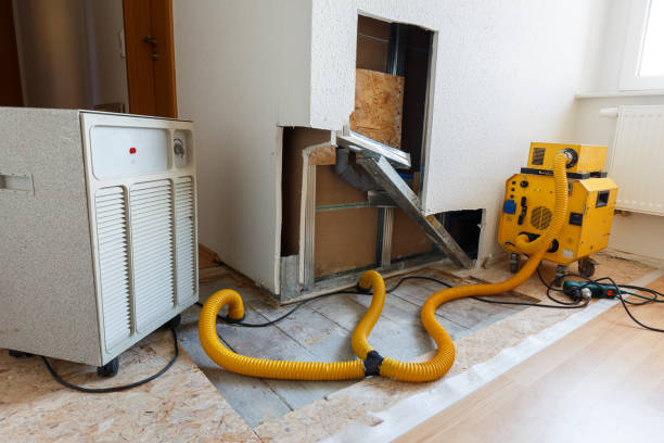 Professional Mold Removal in Harlem, FL